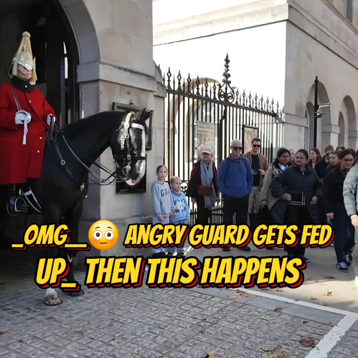 _OMG__😳 Angry Guard gets FED UP_ then THIS HAPPENS | Hope Haven Paws ...