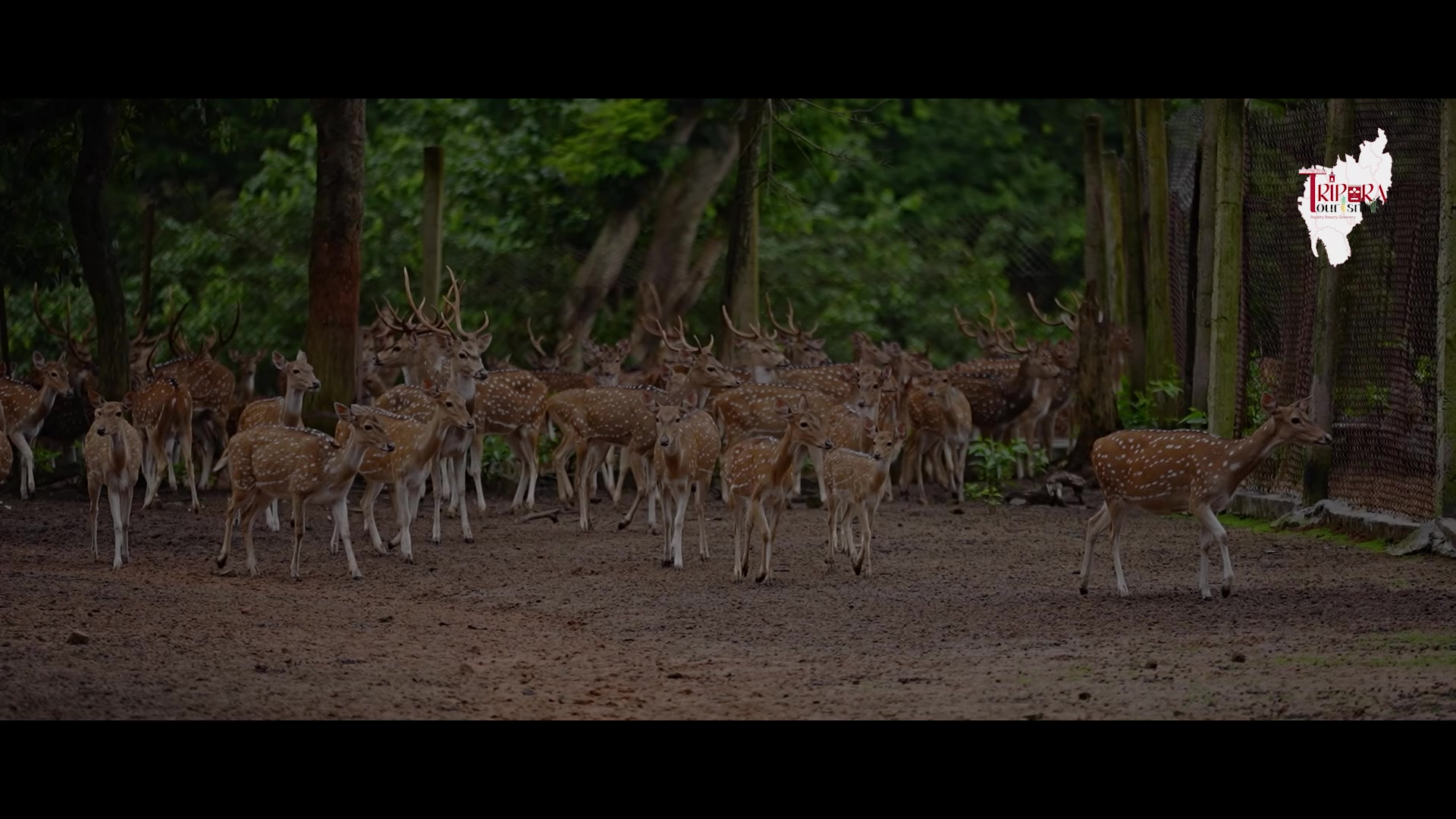 Matabari Tourism Circuit: Devotion. Development. Destination. | Tripura ...