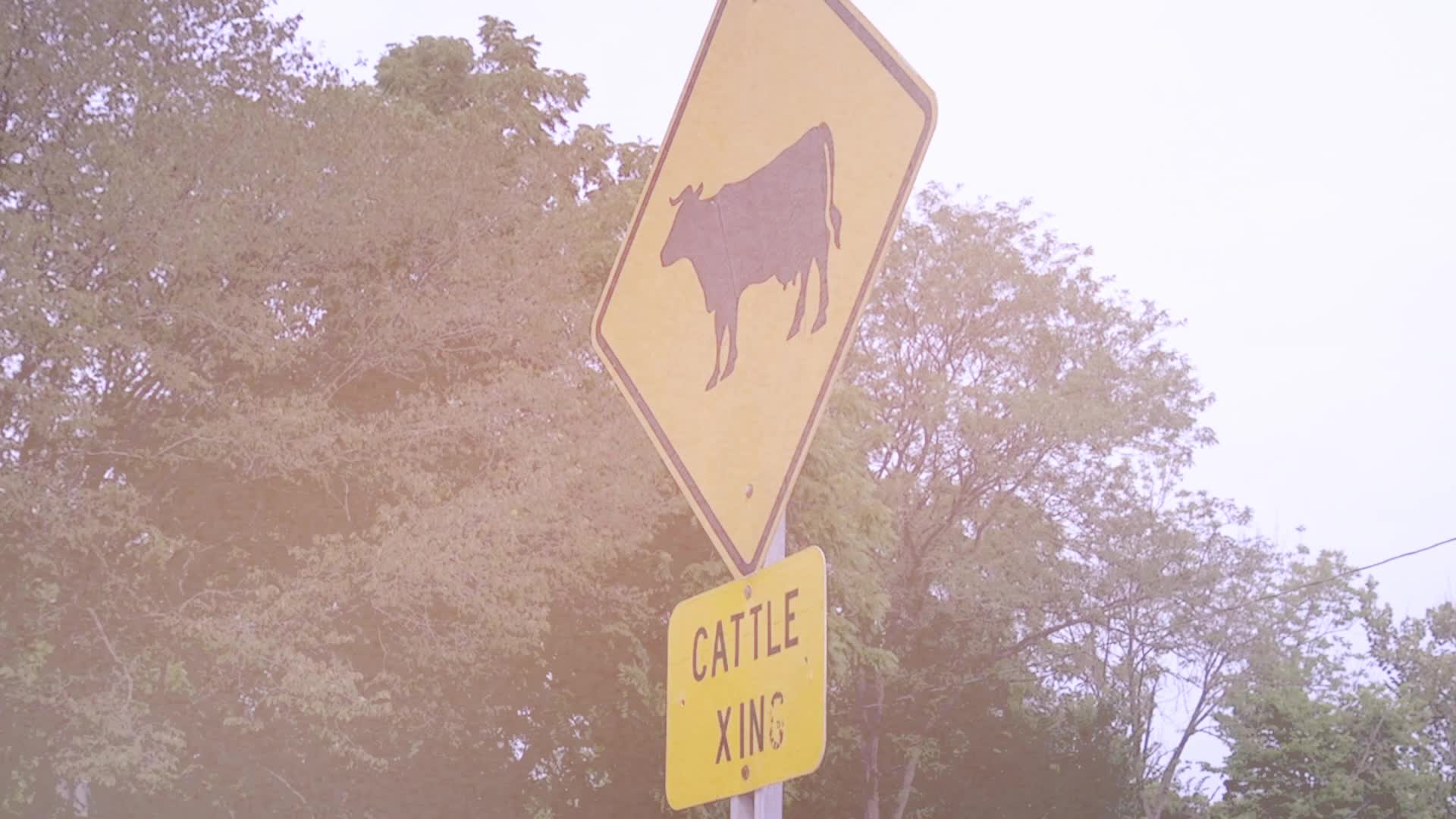 Moss Rock Ranch | Carthage IL