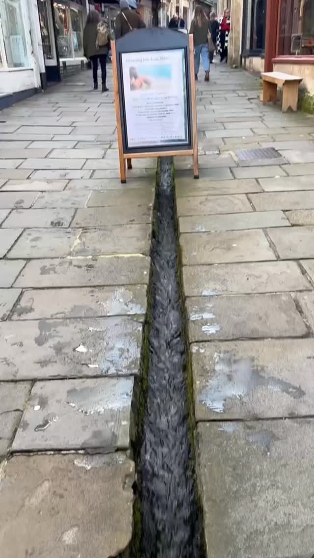 Gallery image with a fresh perspective