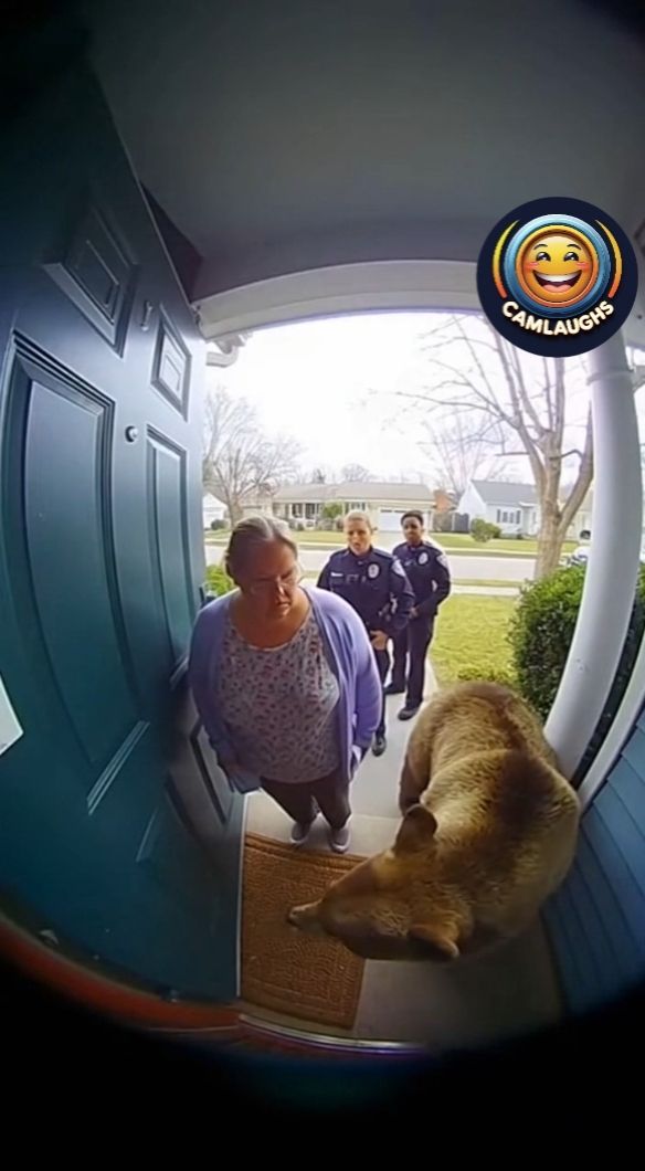Grandma didn’t notice. Police noticed. We noticed EVERYTHING. 😭 ...