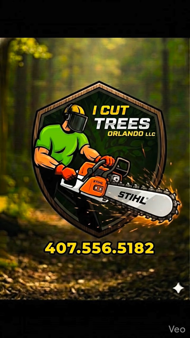 I Cut Trees Orlando • ️ Precision Tree & Shrub Trimming • 🌲 Full Tree ...