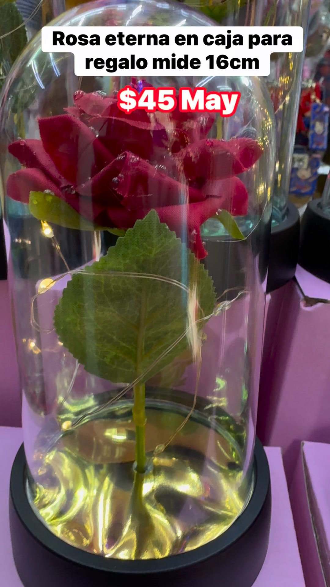 🌹 Rosa Eterna con Luz – El regalo perfecto 🌹 Sorprende con un detalle ...