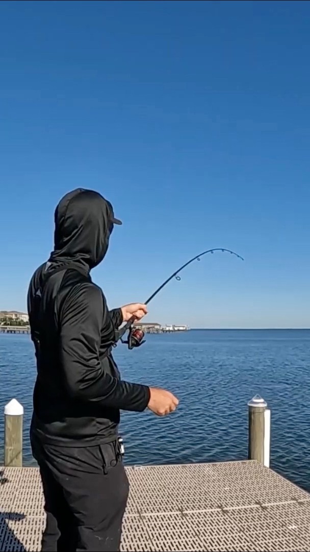 crazy cath in fish net Catch Professional 2.0 Rebound  Crazy Catch AU Unbelievable hundreds of tons of