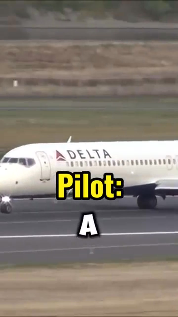 Pilot Requests Emergency Landing… Then Asks for Coffee ☕ ️ | SkyClips ...