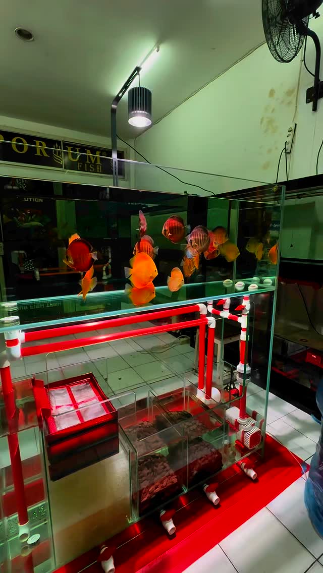 Gak kepengen ini ada di tengah tengah ruang tamu atau ruang keluarga ...