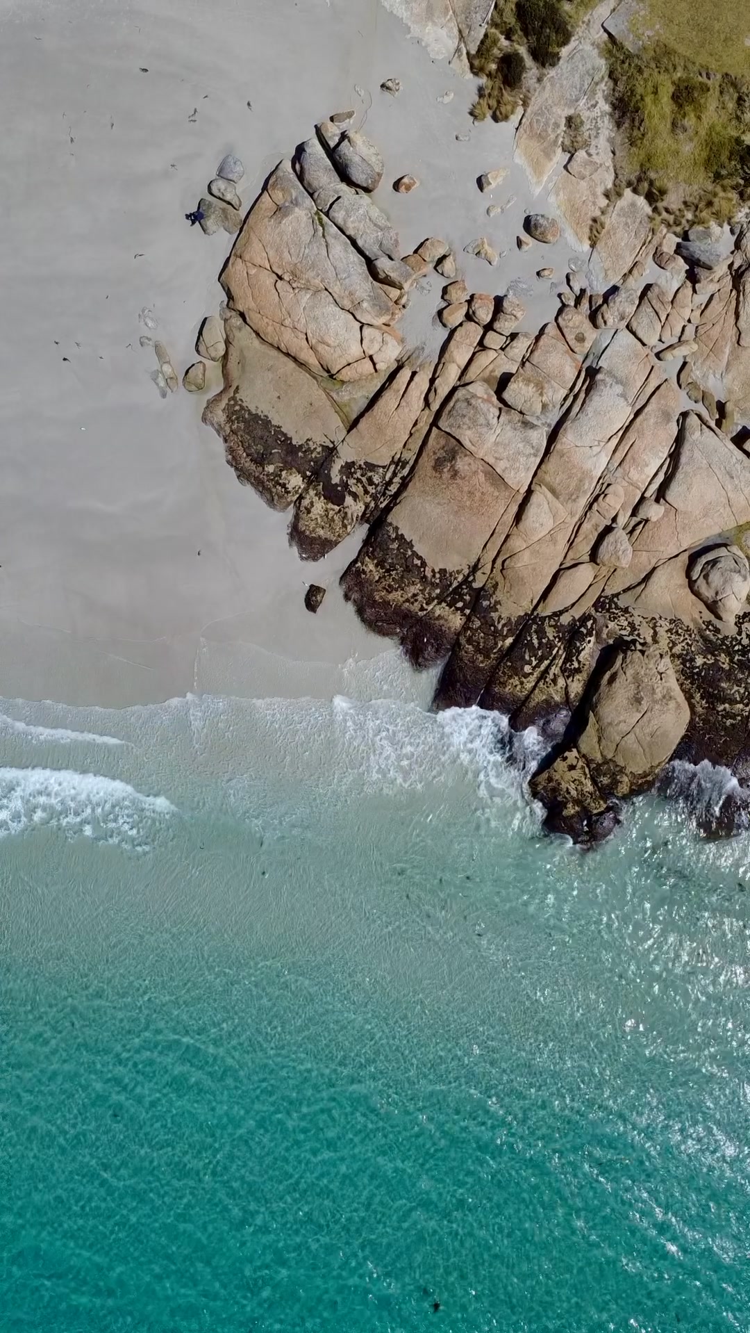 Have you visited Waubs Bay, Bicheno, over the summer? Waubs Bay in ...