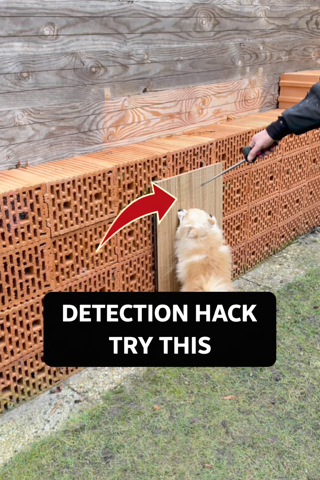 👇Genius detection work hack below. Let’s say you’re training detection ...