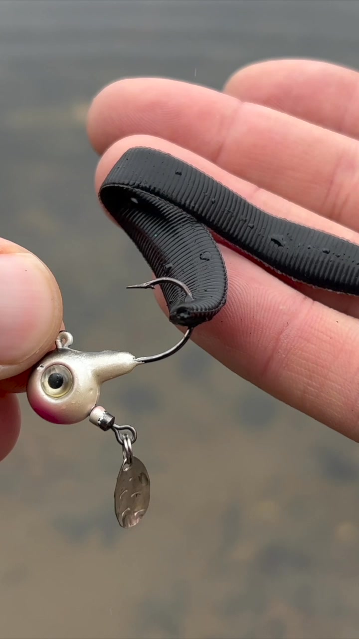herschel backpack images Supply Co. Simpsons Classic Mini Color:Clear Red Glitter Marlin Hooks Channel Catfish Spawn Brings it’s tough and eco