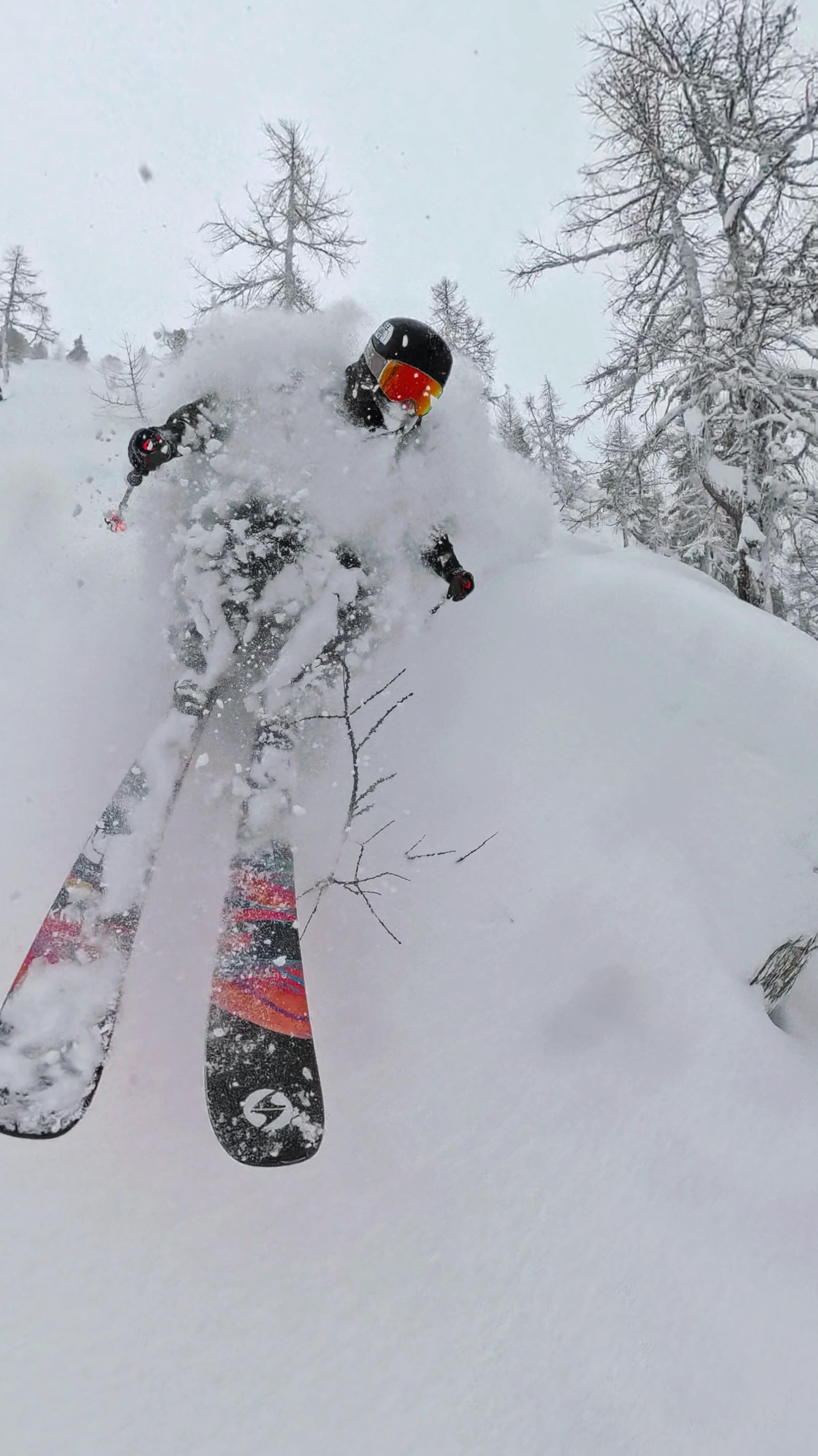 Blizzard ritual 🌪️ ️ #stormskiing #powderday #chamonix #ski #snow 🎥 ...