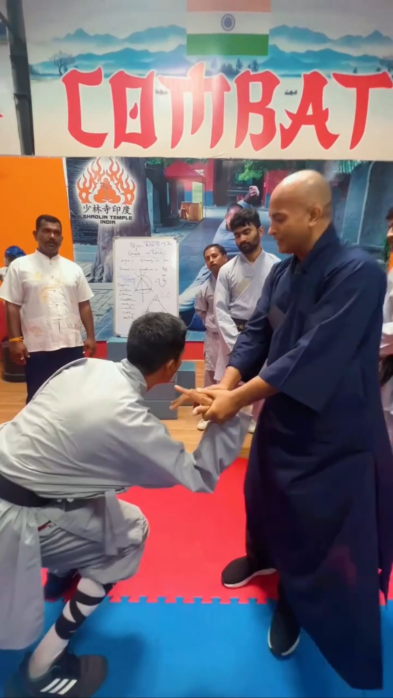 Demonstration of Shaolin Toad Fist (少林蛤蟆拳) 🐸 A rare Shaolin system ...