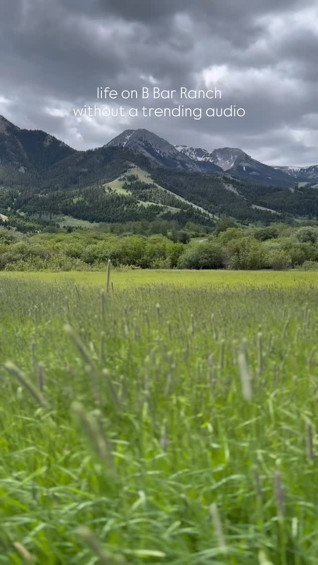 B Bar Ranch - Some days at B Bar Ranch are loud and... | Facebook