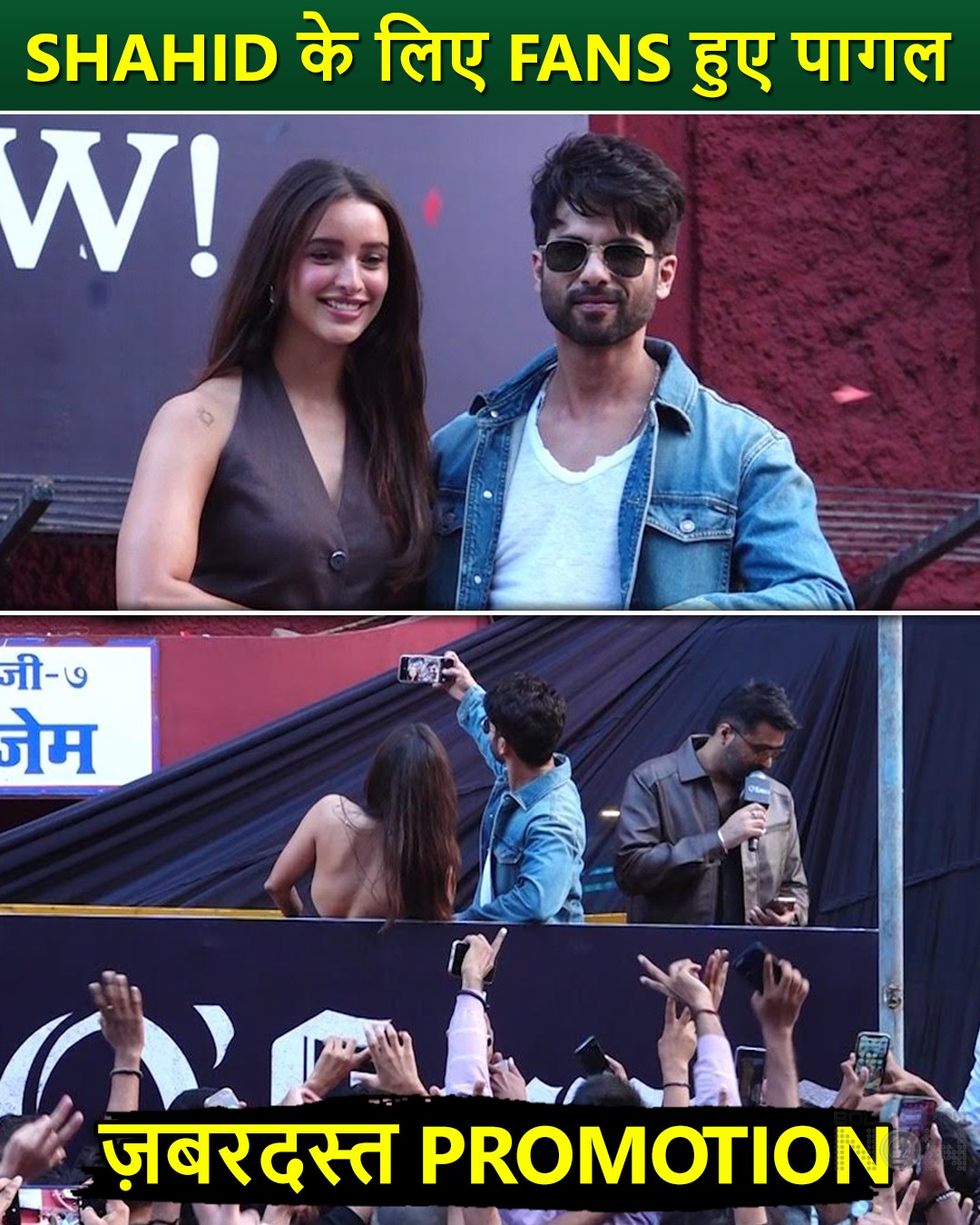 Shahid Kapoor and Triptii Dimri unveiled the poster of their upcoming ...