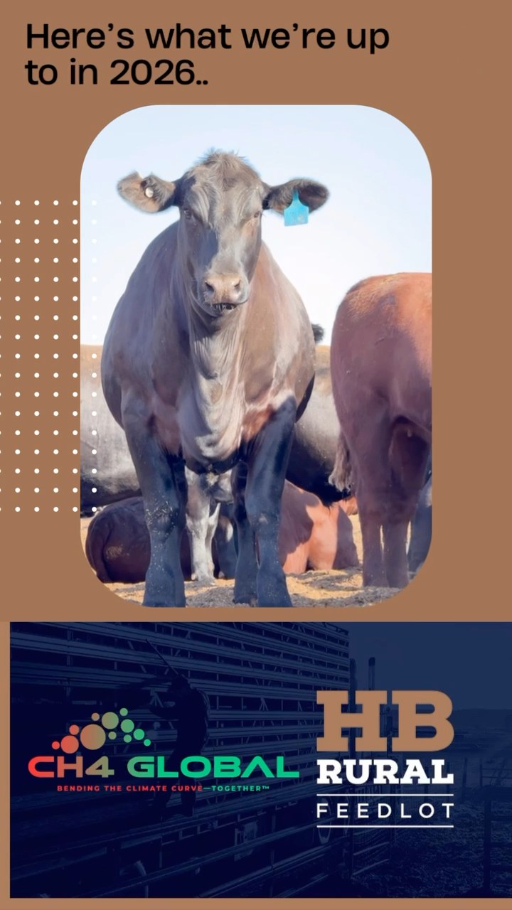 HB Rural Feedlot | Warnertown SA