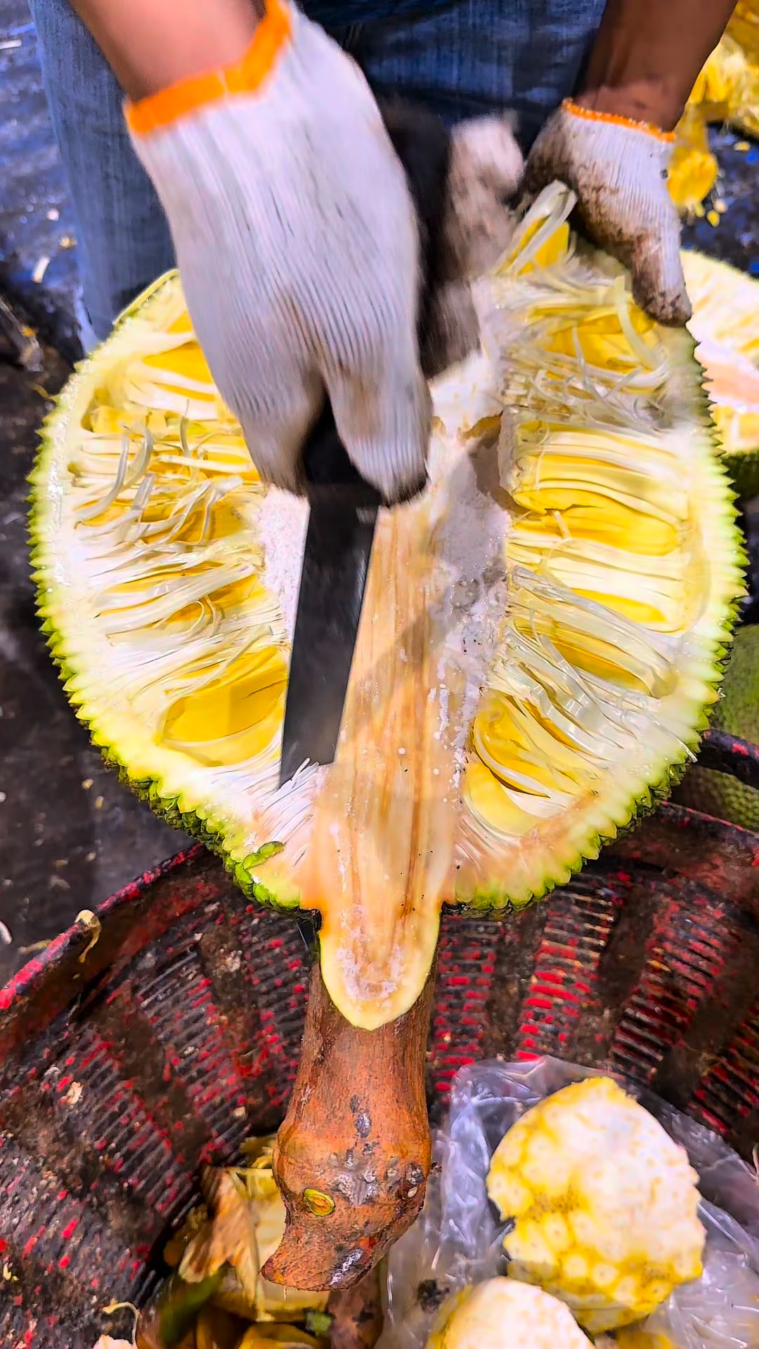 Pro techniques: How to core a jackfruit like a master. | ปอน วันทานุวง