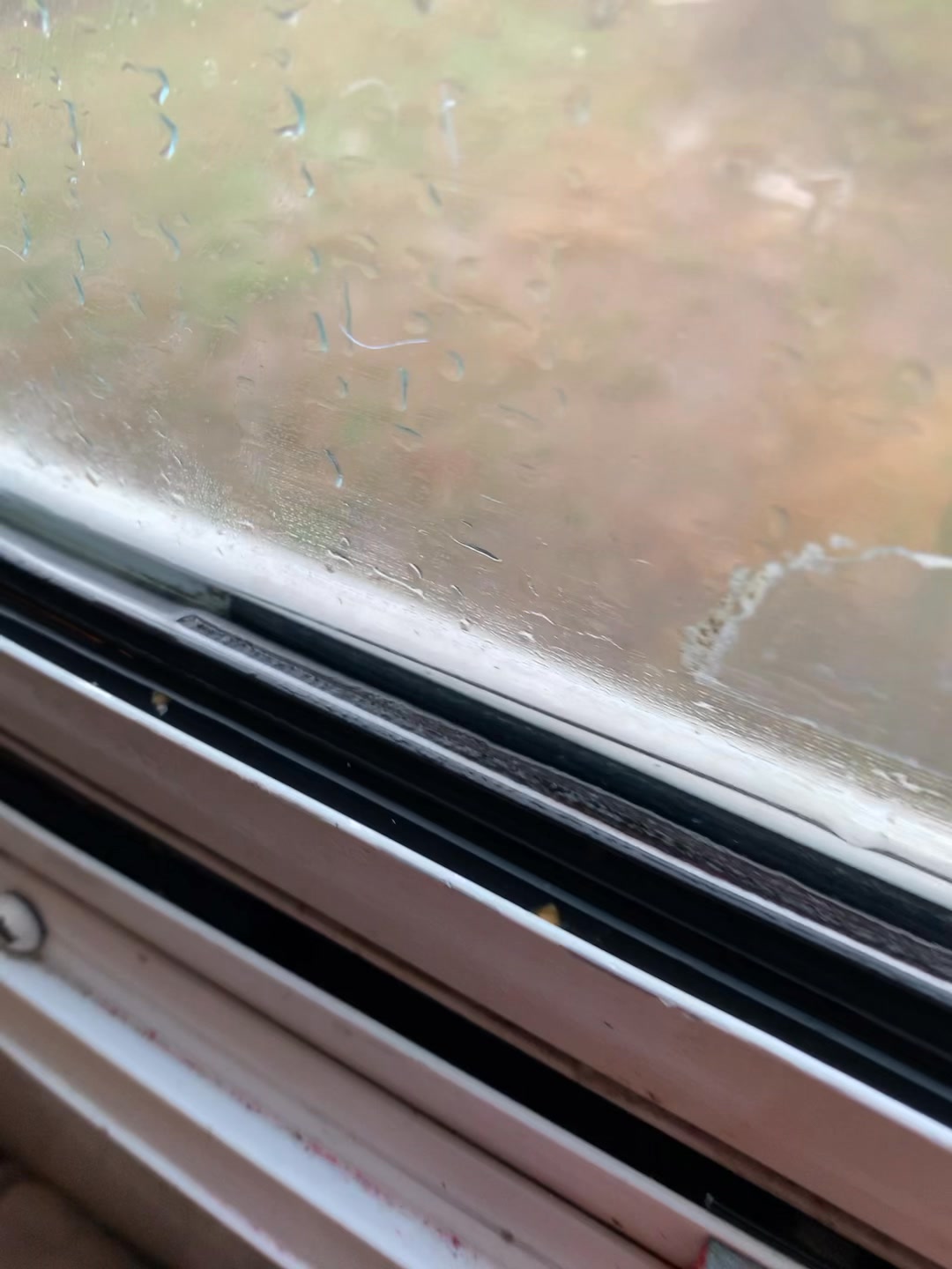 RV Hacking Camping Ideas | The inside of my window pane is filling up ...