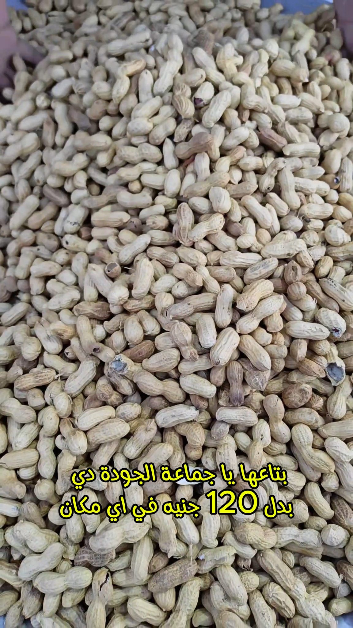 🥜 عرض الفول السوداني من هايبر الوادي 🥜 لو بتدور على تسلية صحية وطعمها ...