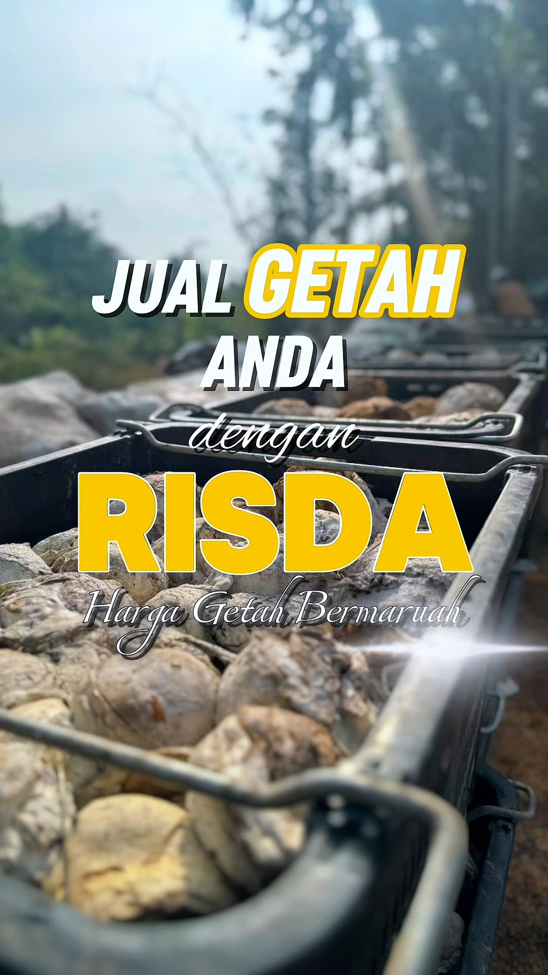 𝐉𝐎𝐌 𝐉𝐔𝐀𝐋 𝐆𝐄𝐓𝐀𝐇 𝐊𝐄 𝐑𝐈𝐒𝐃𝐀 Pekebun kecil jangan lepaskan peluang ni! 🌳 Nak ...