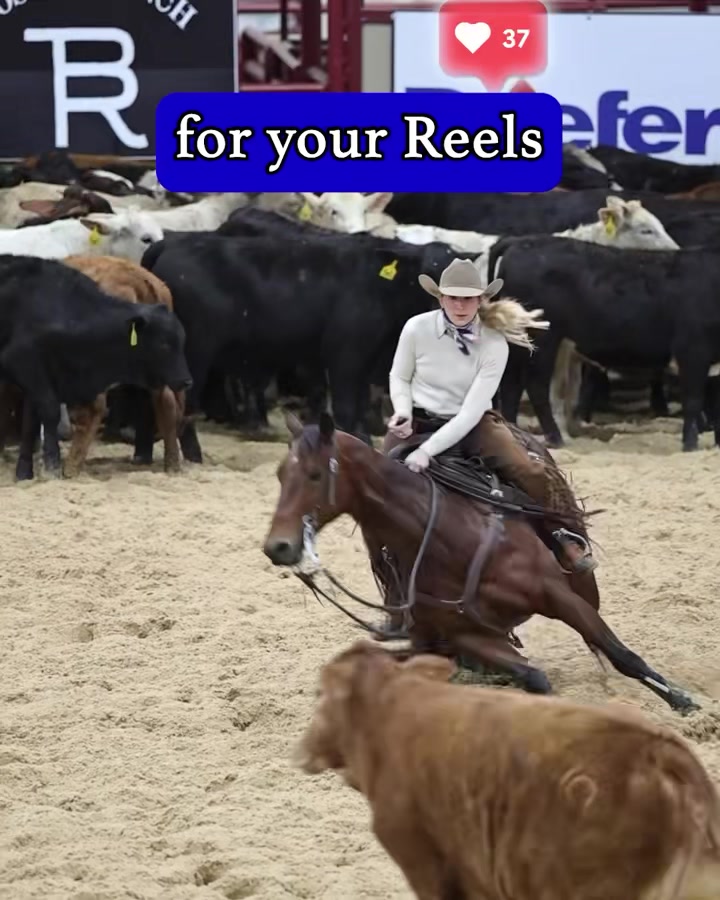 🌟Elevate Your Reel Game with Video West Productions!🎥✨, Ready to take 