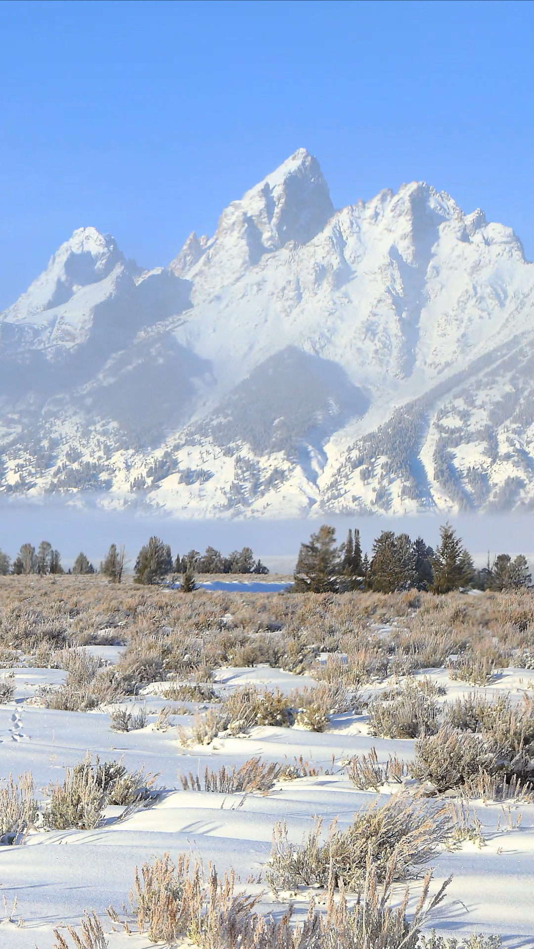 The Tetons in Winter Morning, Grand Teton National Park | See