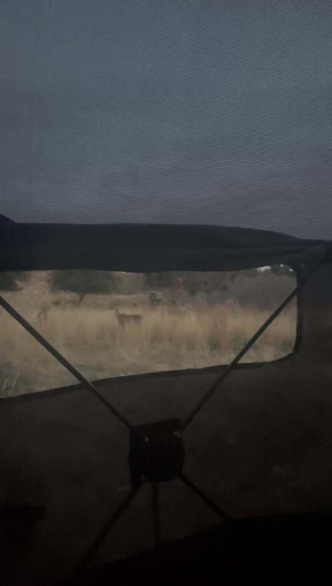 Kothmann Ranch Whitetails | Mason TX