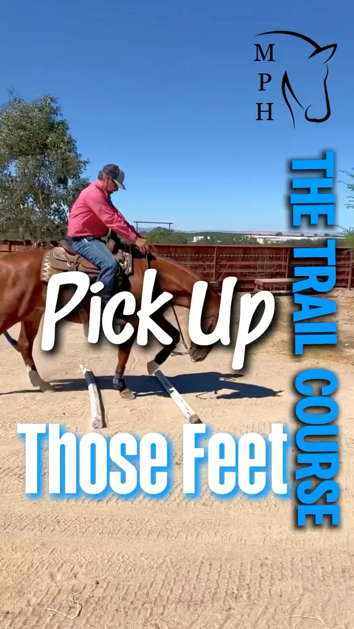 Pick Up Those Feet | Horses, Ranch Trail and Obstacles # ...