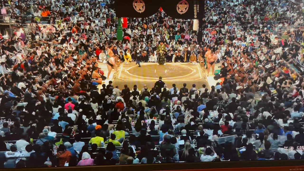 春場所 14日目 一山本 vs 高安