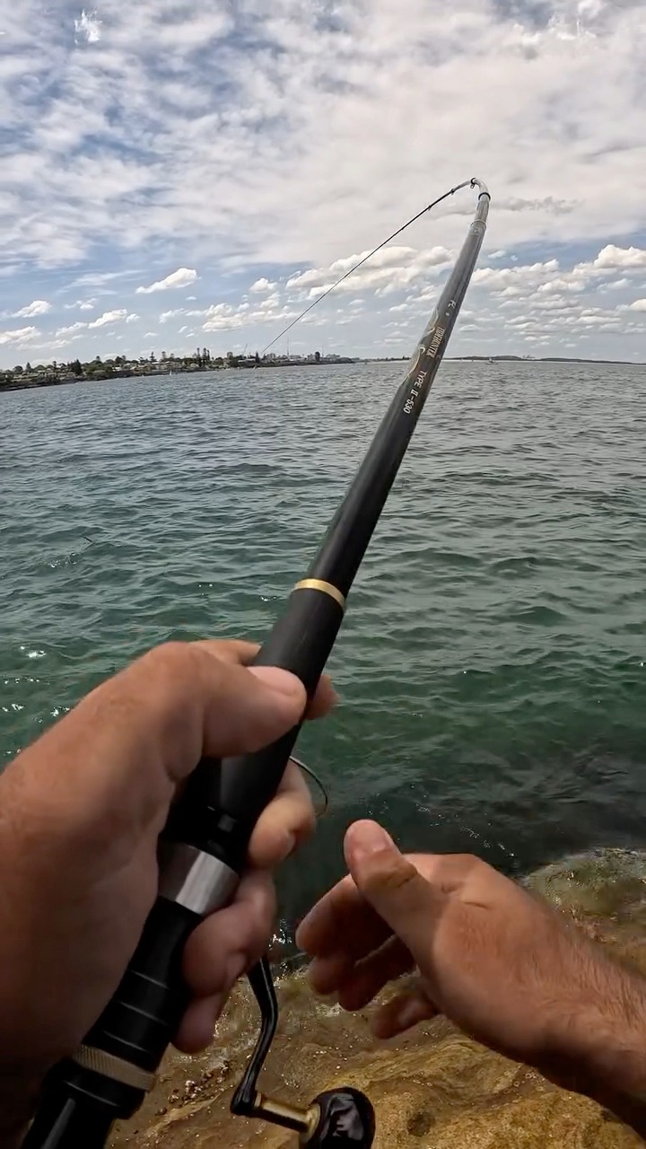 Big trevally off a rock ledge! 🤙 • • • • • • • • • • #fyp #foryoupage # ...
