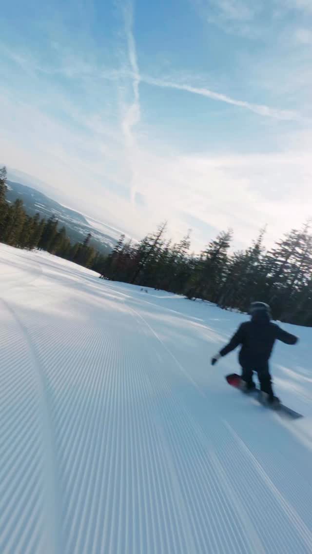 ride blackout snowboard Split Pig Package Unisex Split Board, 148cm : Sports & Outdoors Cleave Edge Nearly 50% more steel The 2024 Ride Burnout Snowboard