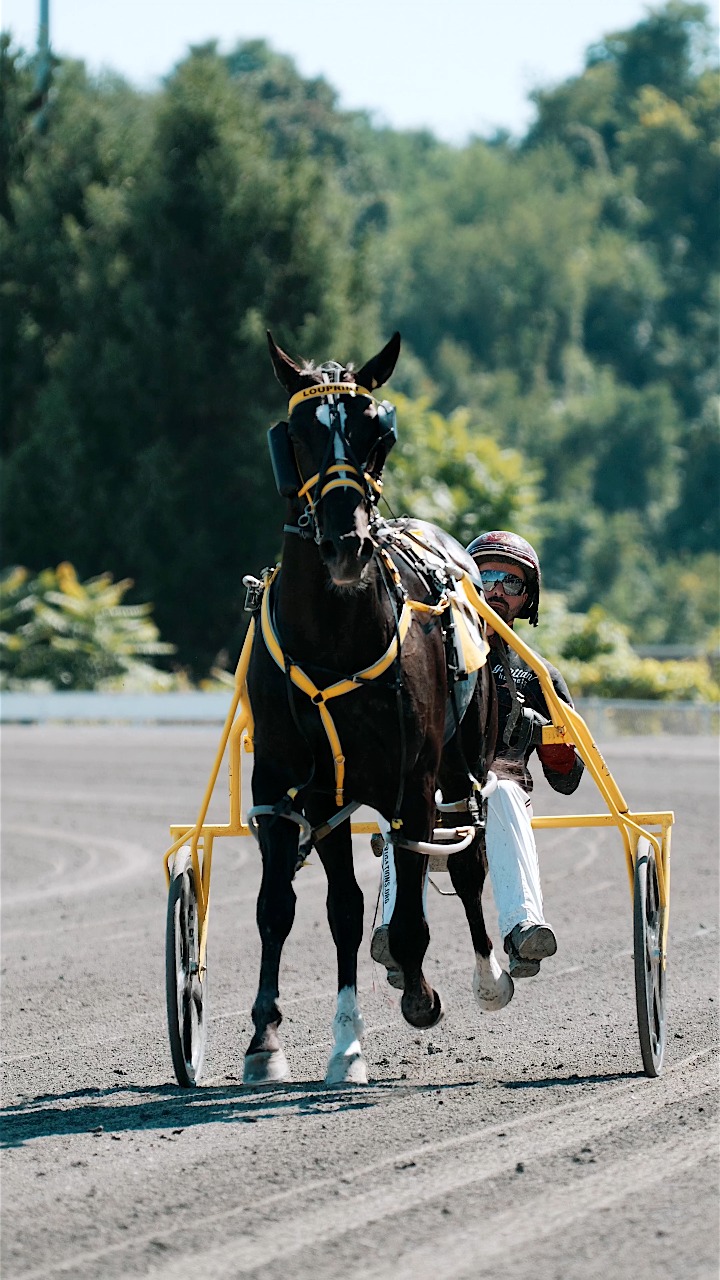 Louprint returned to the winner’s circle with a strong stakes win at ...