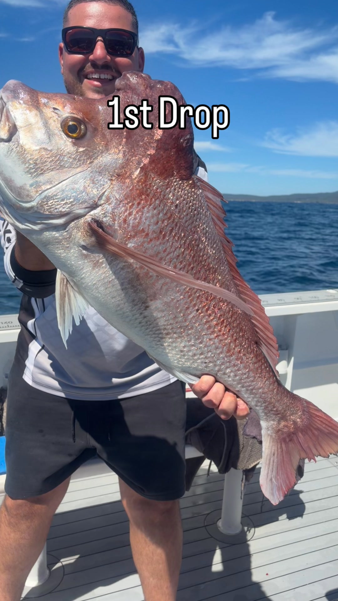 The Rocks Fishing Charters SEA SCOUT II SOUTH WEST ROCKS on Reels ...