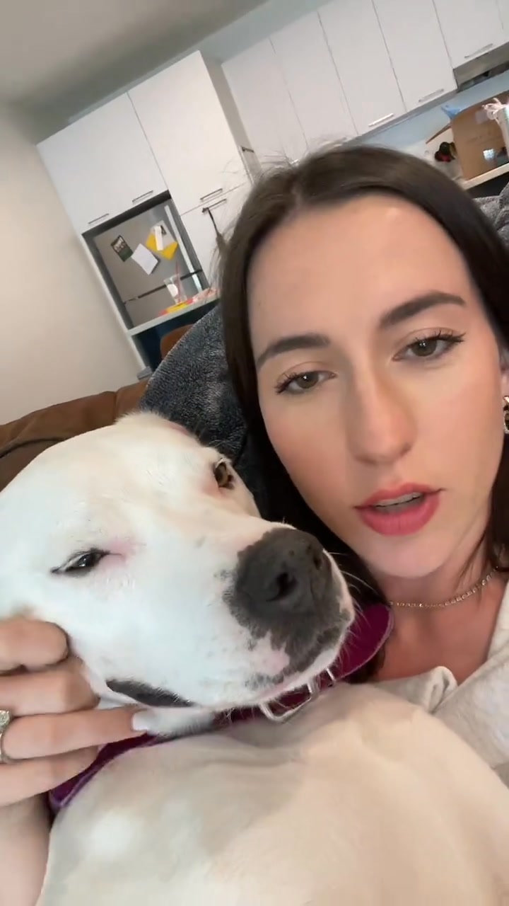 Grump needs her beauty sleep too #funnydogs #doggo #pittiesoftiktok # ...