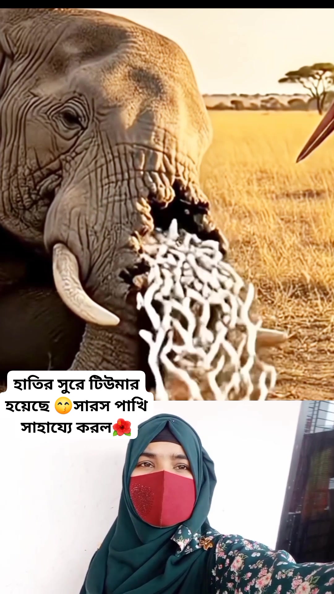 হাতির সুরে টিউমার হয়েছে 😙 #reelschallenge #savingwildlife #animals # ...