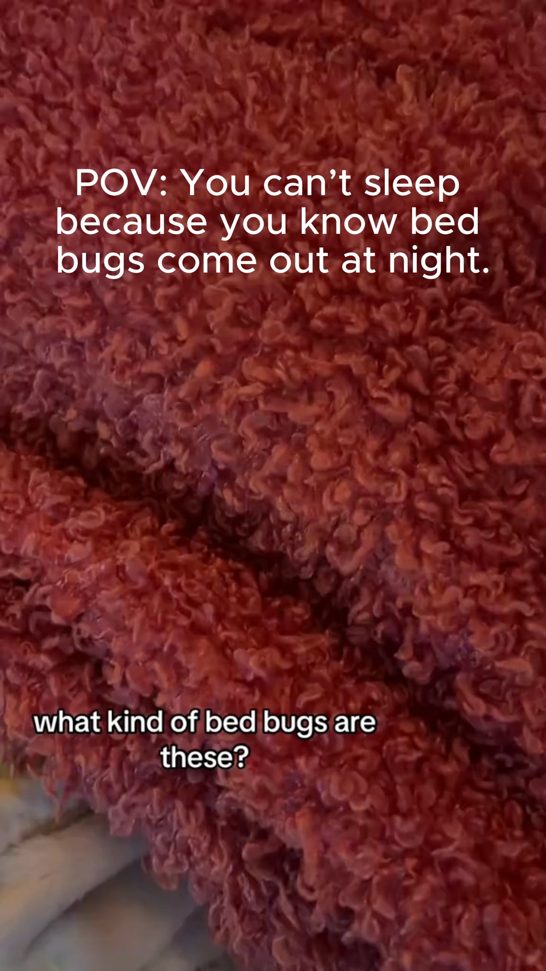 Tired of battling bed bugs in your home? You’re not alone and you ...