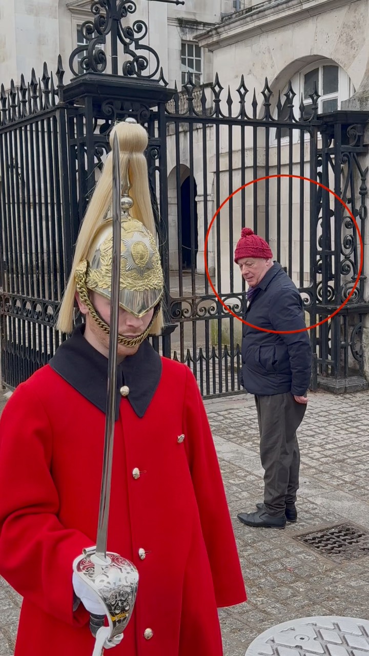 Magnificent: The Royal Kings Guard #Fb #Reels #ViralReels #RoyalHorse # ...