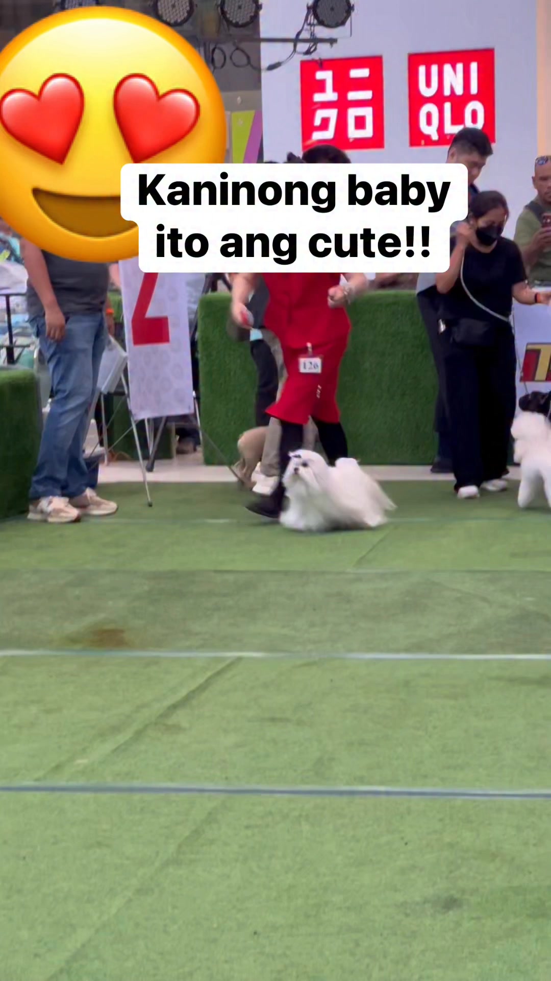 So cute! #puppy #instadog #pet #cutedog Ching Devierte Ballentes ...