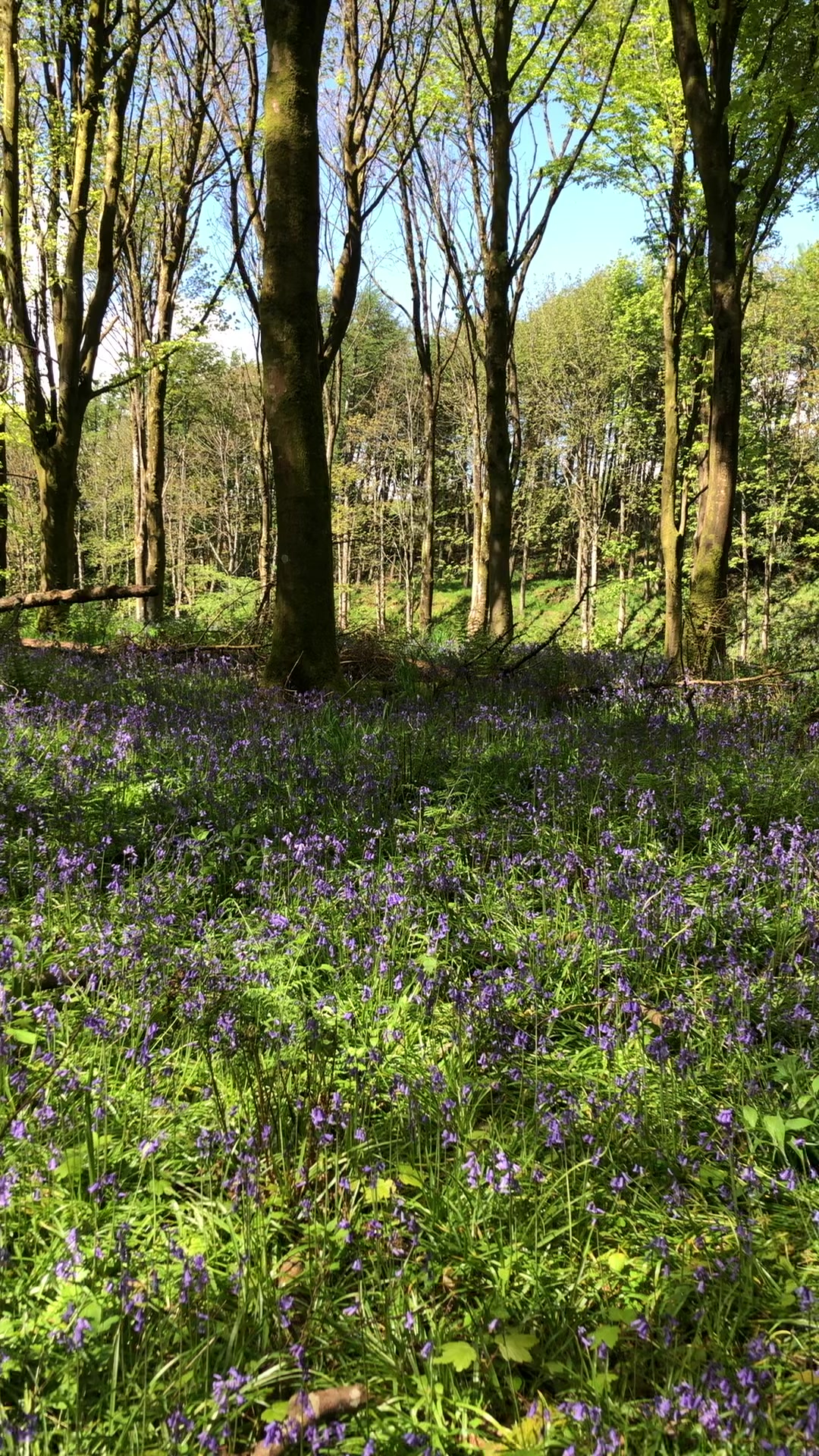 Senwick Hideaways | Kirkcudbright