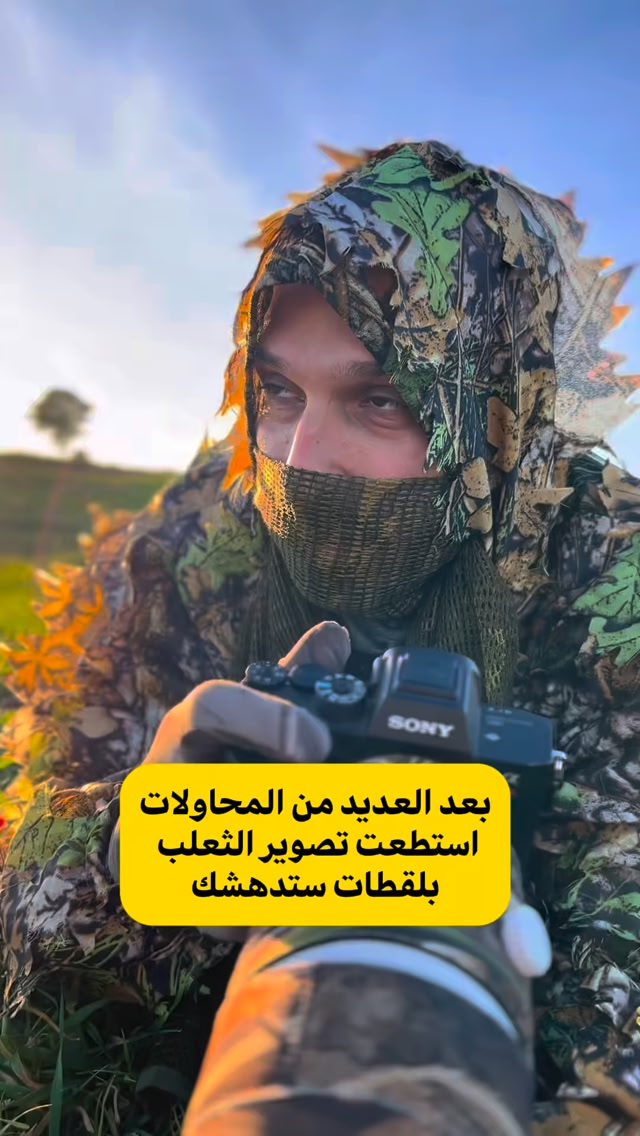 الثعلب الاحمر كما صورته عن قرب بتفاصيله الجميلة #ثعلب #تصوير #حياة_برية ...