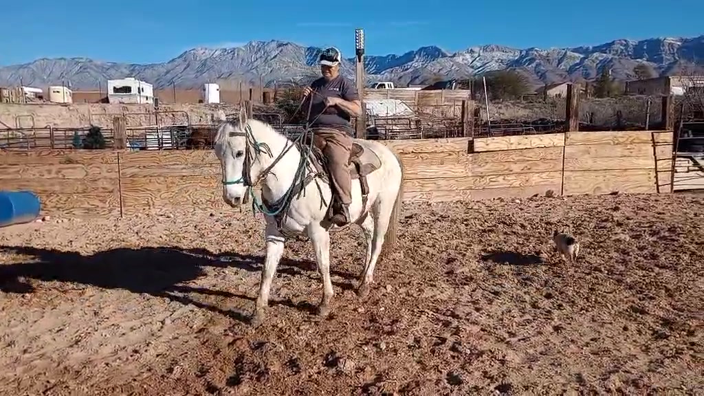 Broke Pocket Ranch on Reels | Facebook