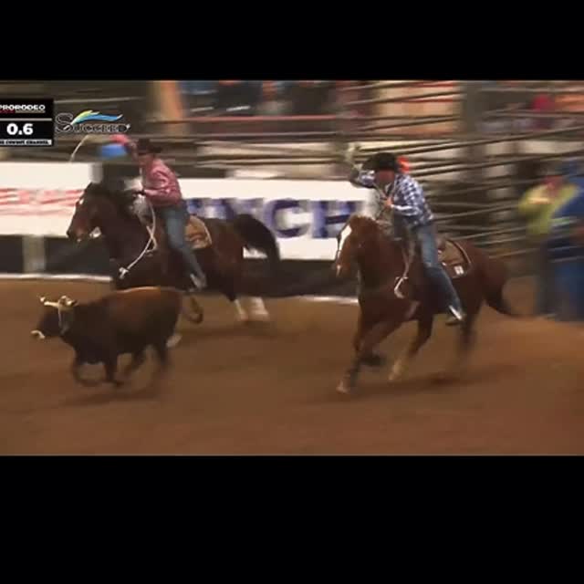 2025 First Frontier Circuit Champion Team Ropers TJ Smith and Scot ...