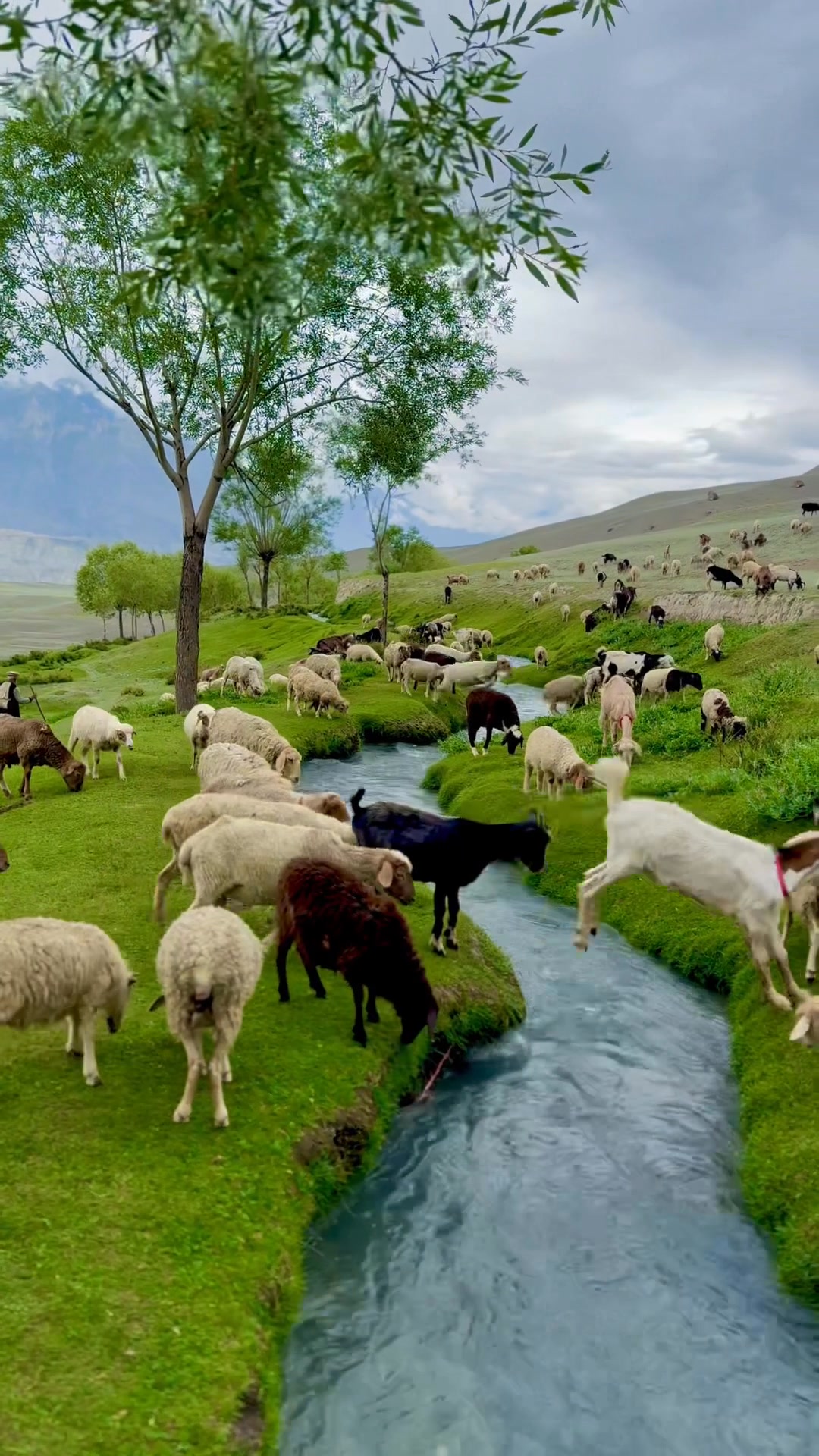 Chunda Valley 😍 #nature #Pakistan #mountain #skardu | Imtiaz Hussain ...