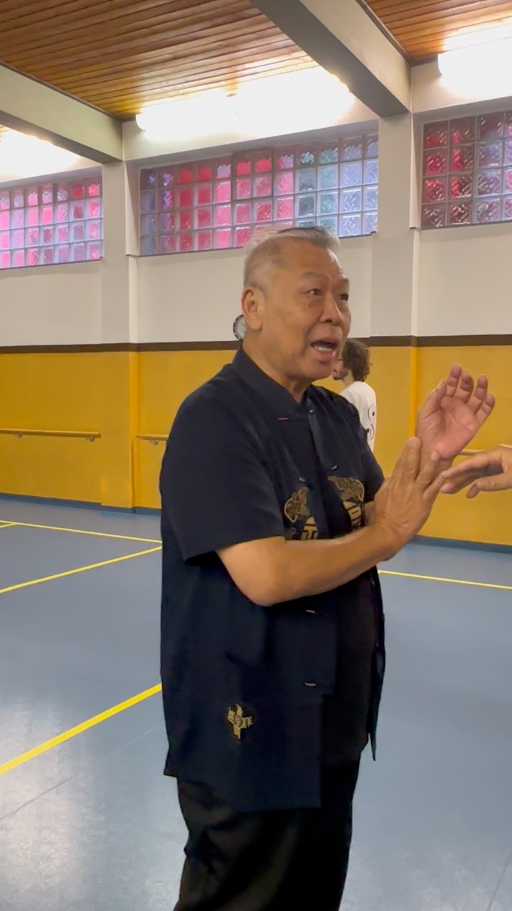 One Move Sticky Hands, Show Internal Martial Arts | WYLQ | Facebook