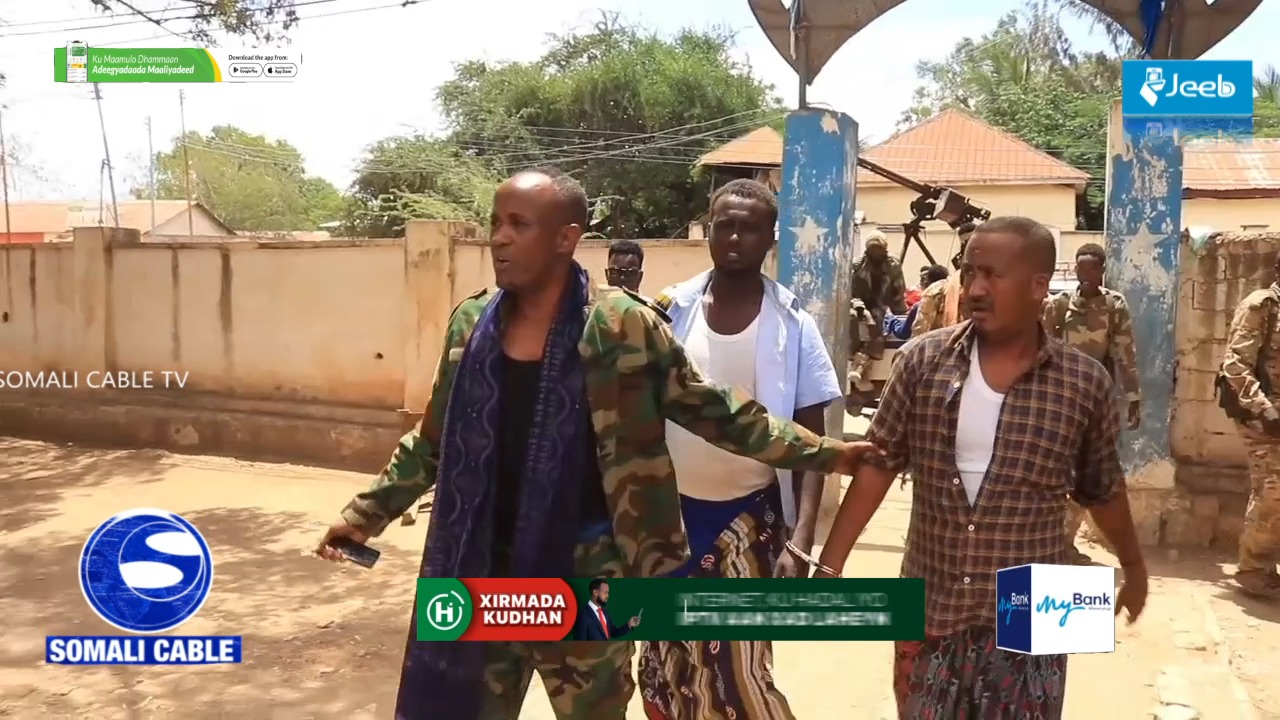 YARAANKA HAWIYE & GEEL:-Beesha Silcis Gorgaarte Hawiye oo Sedex Geel ah ...