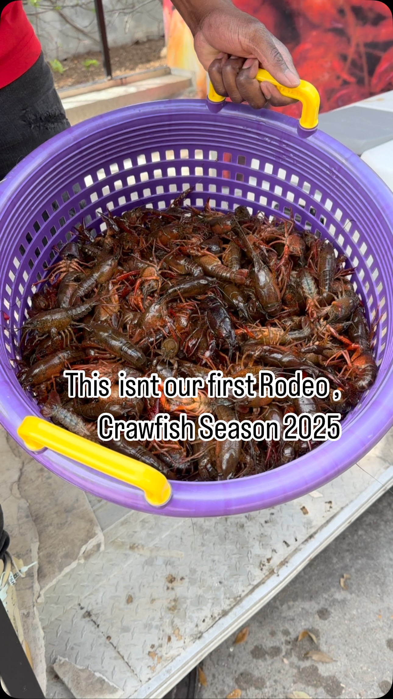 Houston Rodeo x Crawfish Season 🤠🦞 | Out The Mud Crawfish & Catering ...
