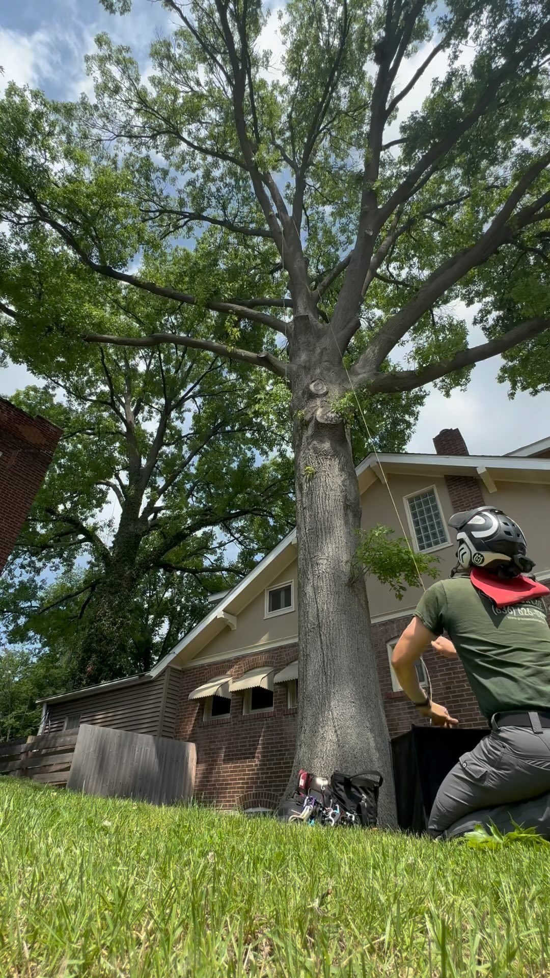 Nasty silver maple removal on top of some power lines today. Span ...