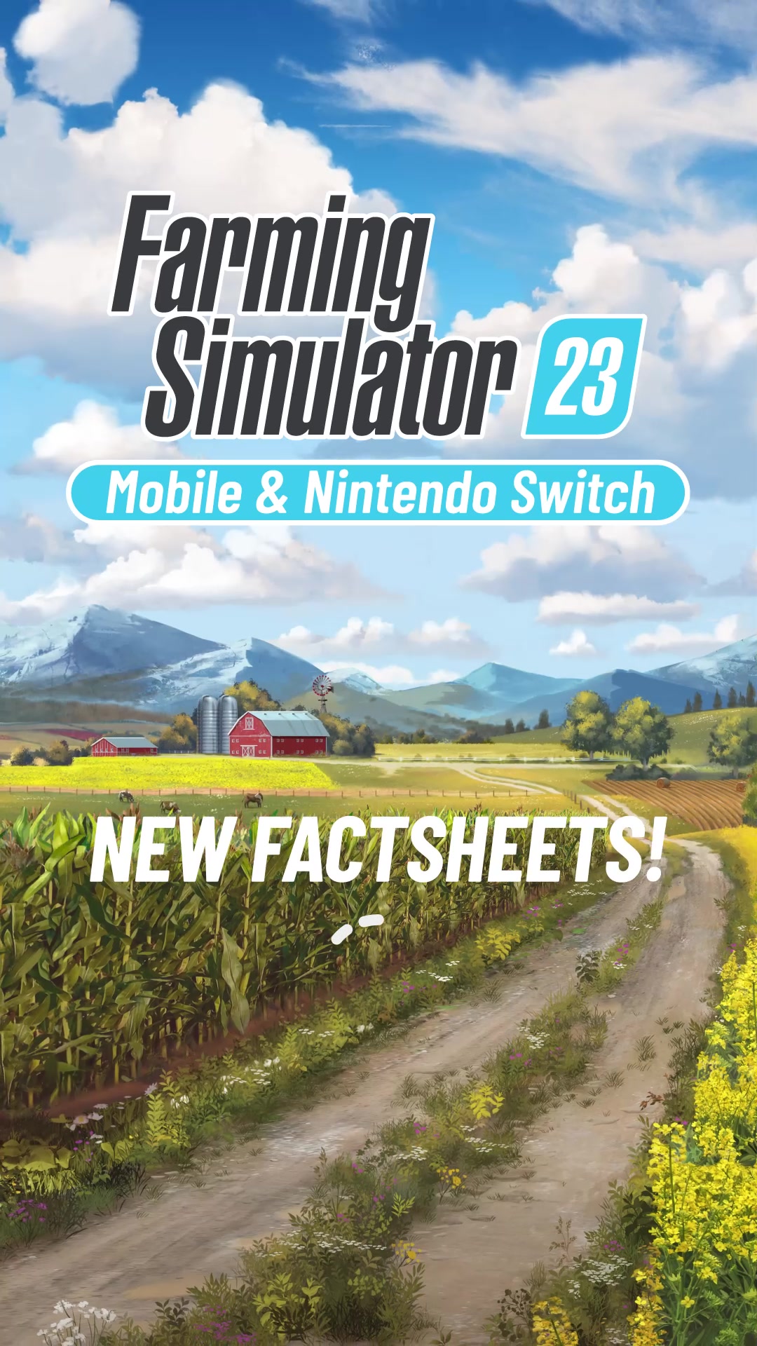 FS23