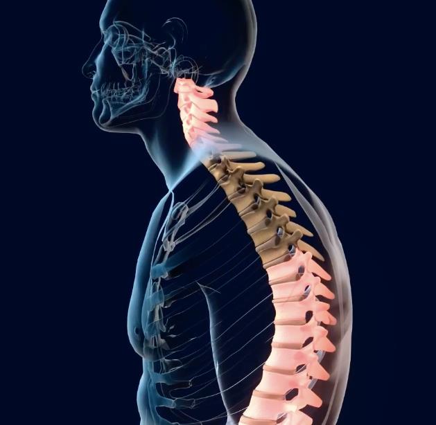 Correct Back