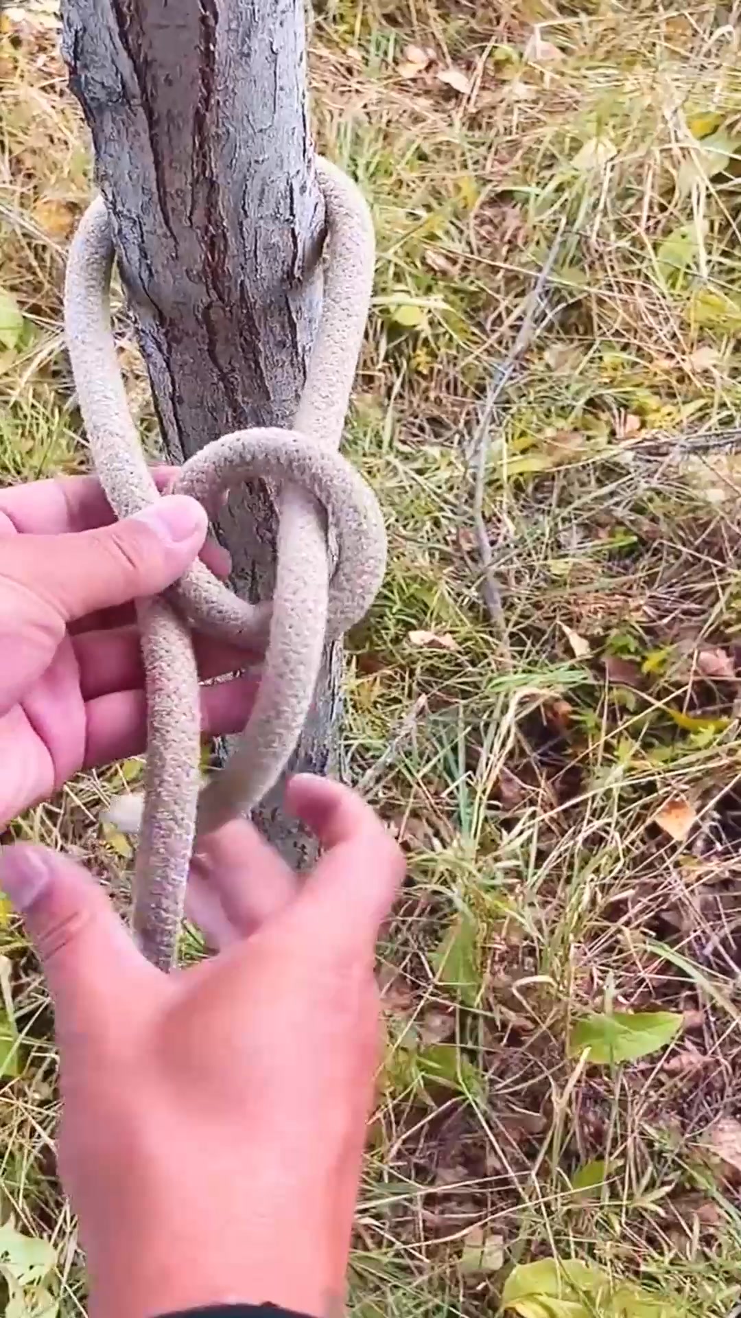 Knots rope tip diy idea for you ep529 #diy #reels #trending #craft # ...