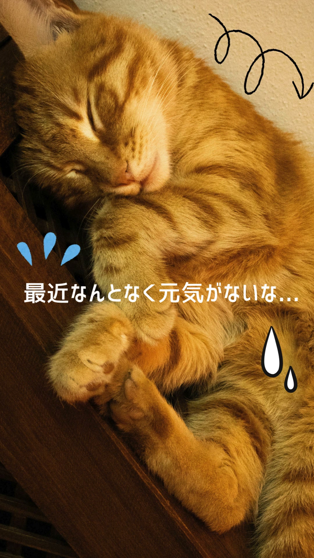 AIXIA にゃんちゅーぶ (@nyantube) • Facebook