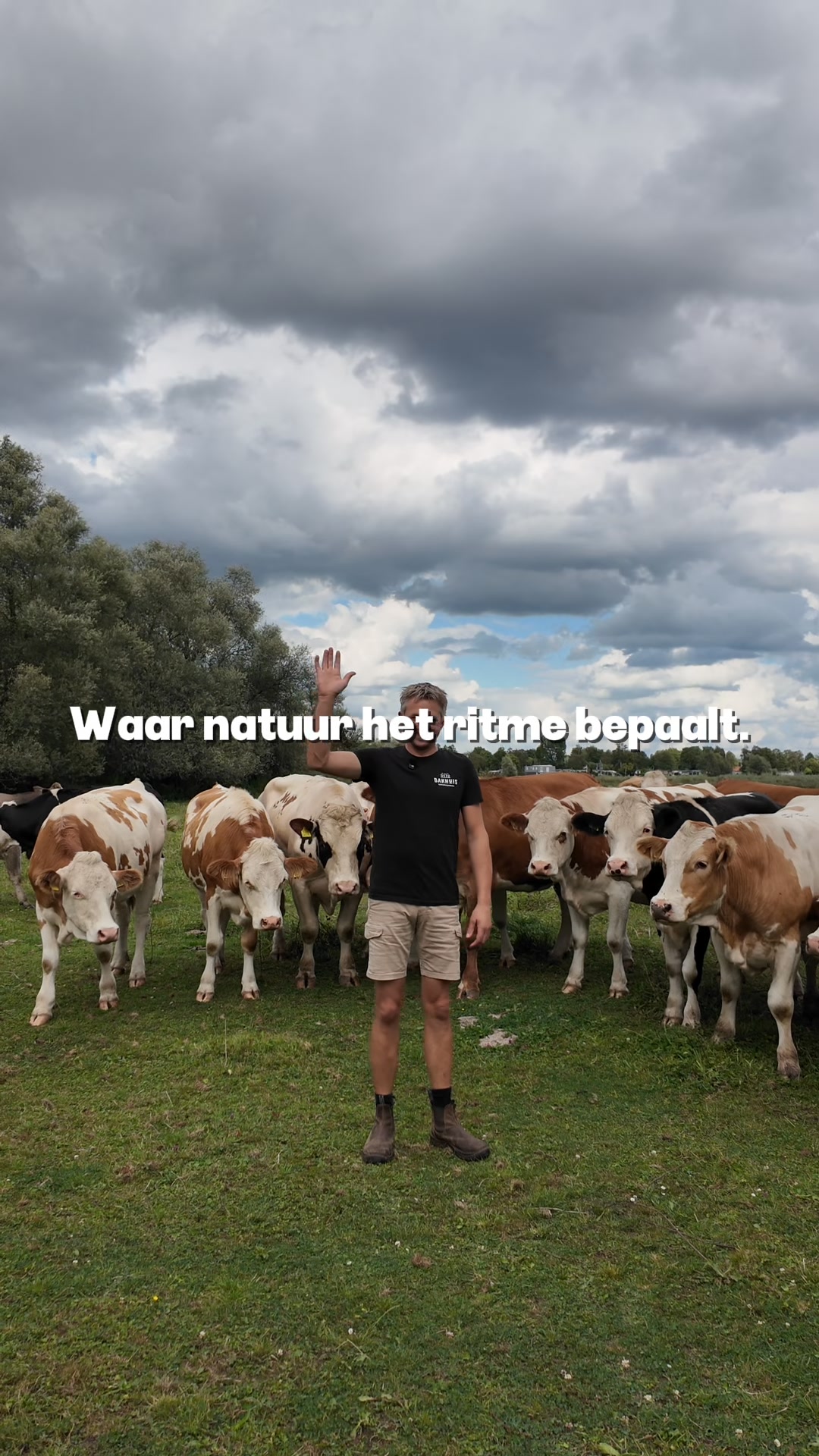 Bij boerderij ’t Paradijs loopt de haan niet voor niks tussen de kippen ...